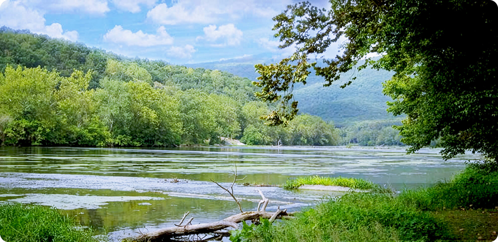 Sweetwater Riverfront (upriver)